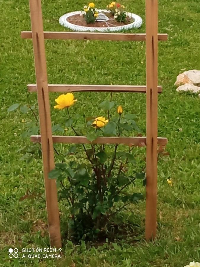 Yellow Rose Rakovica Exterior foto